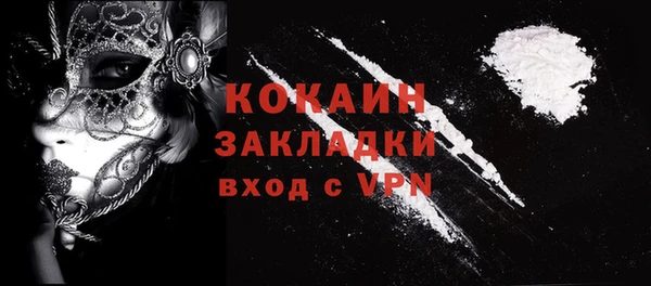 бошки Новодвинск