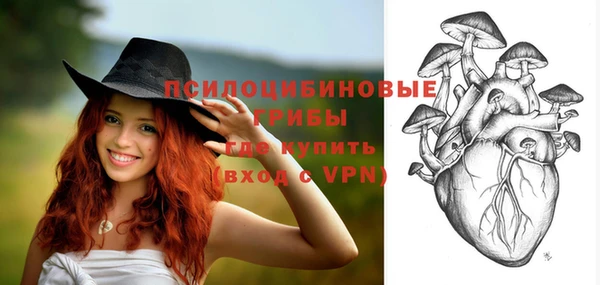 МДПВ Абдулино