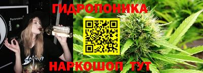 spice Будённовск