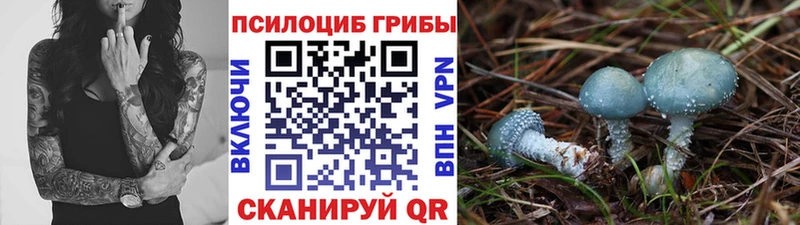 площадка Telegram  Иваново  Псилоцибиновые грибы прущие грибы 