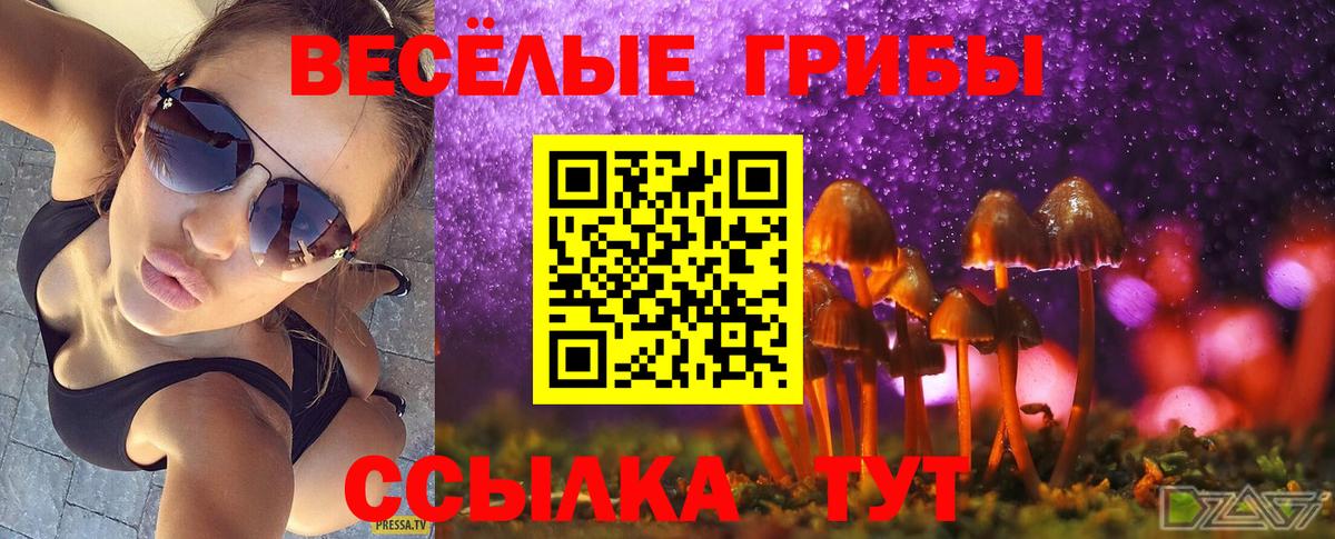 Псилоцибиновые грибы GOLDEN TEACHER  Вход с VPN  Иваново 